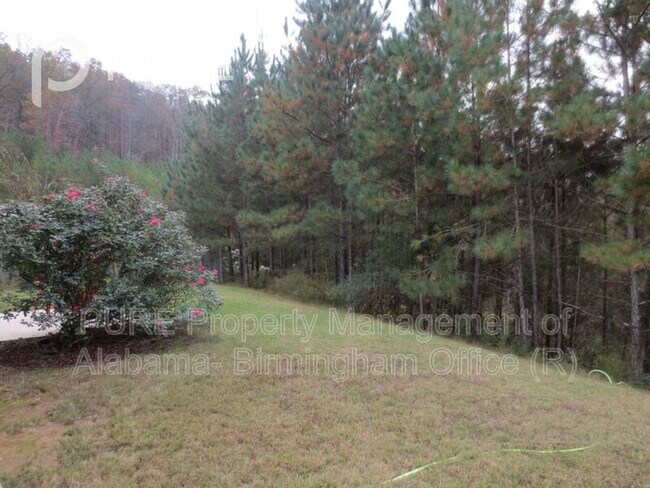 Foto del edificio - 794 Forest Lakes Dr