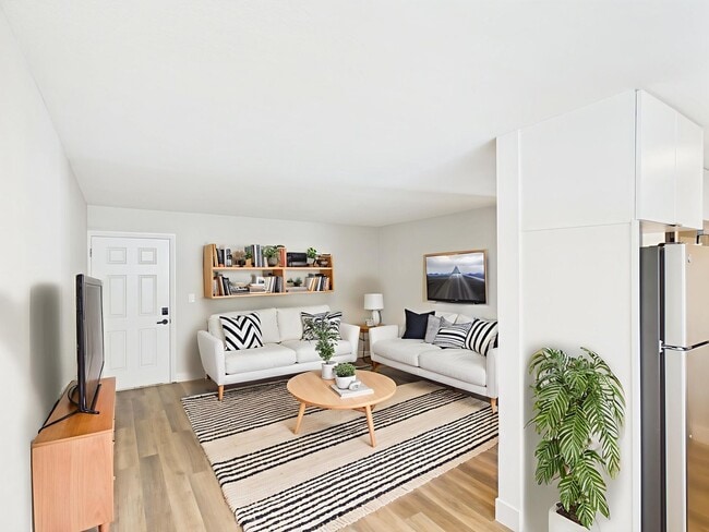 Interior Photo - Da toucan