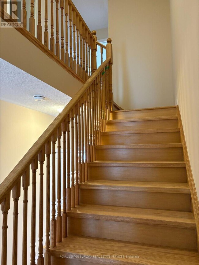 Building Photo - 70 Freedom Cres