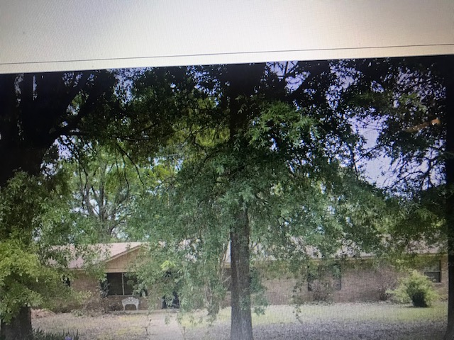 Primary Photo - 420 Dodd St