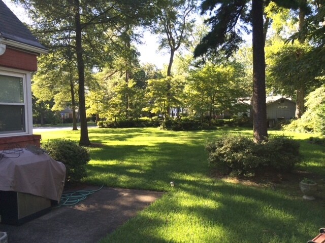 backyard - 1555 Crane Ave
