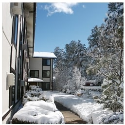 Building Photo - Casa de Pinos