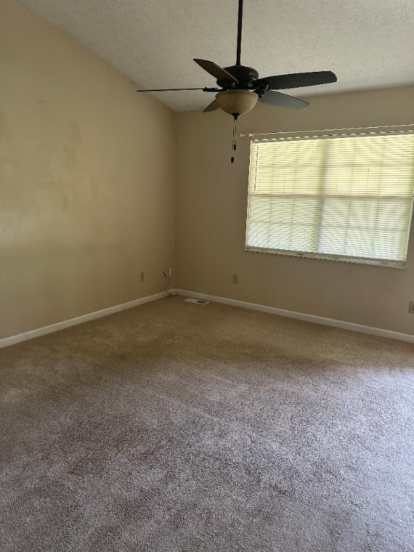 Building Photo - 10104 Wolf Den Ln