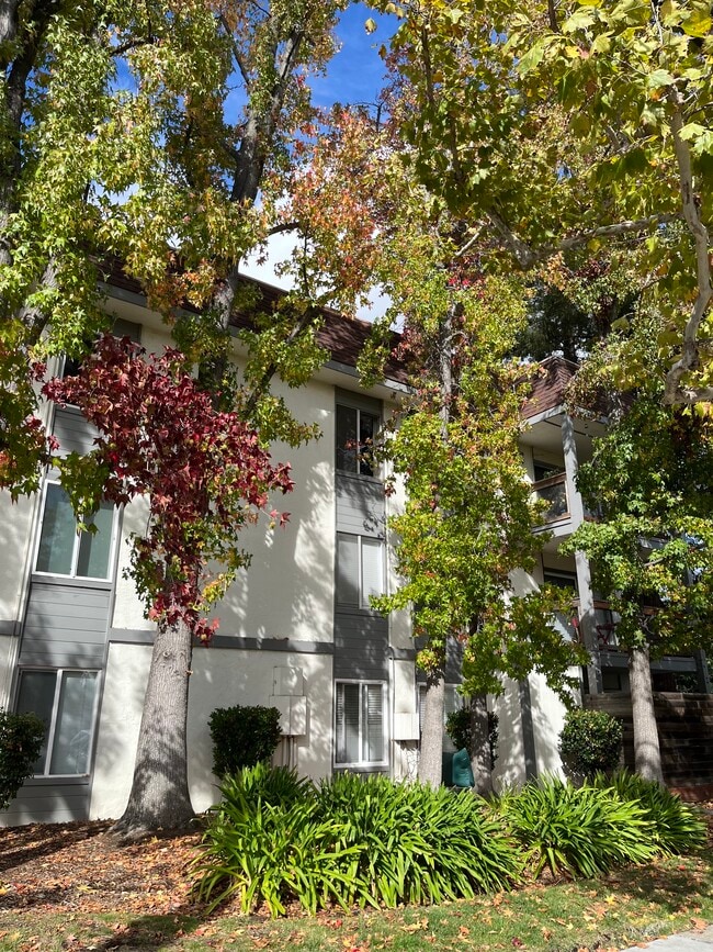 Building Photo - 4081 Clayton Rd