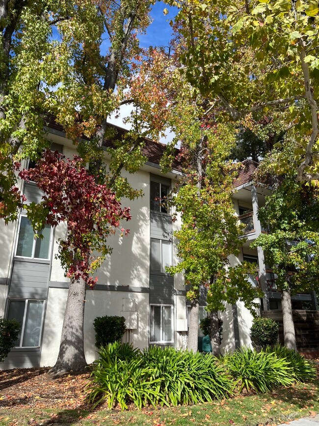 Foto del edificio - 4081 Clayton Rd