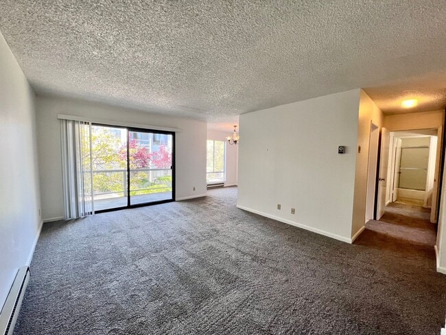 Foto del edificio - Large sunny 1 bedroom with lush courtyard ...