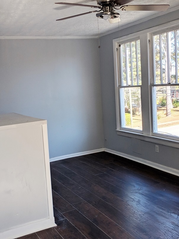 Living Space - 539 Cedar St