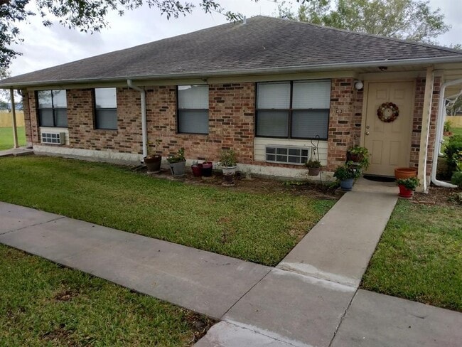 Building Photo - 1207 Miracle Dr