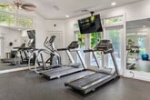 This fitness center is housed in a bright, airy space defined by its striking vaulted ceiling, which rises to impressive heights and is complemented by multiple skylights that flood the room with natural light. Dual ceiling fans help maintain a comfortable environment during workouts. Large windows and glass-paneled doors line the walls, offering views of the surrounding outdoor area and further enhancing the sense of openness throughout the space.

The flooring is covered with durable, dark rubberized gym matting, providing both safety and stability for a wide variety of exercises. A large wall-mounted mirror expands the visual depth of the room and assists users in monitoring their form during training sessions.

The cardio section is well-appointed with multiple Matrix-brand treadmills, an elliptical trainer, and a stair stepper, all arranged to take advantage of the natural light and outdoor views. A wall-mounted flat-screen television is positioned for easy viewing from the cardio equipment.

The strength training area includes a multi-function cable machine, an adjustable workout bench, a full rack of dumbbells ranging across various weights, a stability ball, and kettlebells. Recessed lighting supplements the natural light, ensuring the space remains well-lit at all times. The overall ambiance is clean, modern, and inviting, encouraging an effective and enjoyable workout experience.
