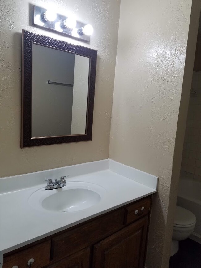 Second bathroom (resurfaced sink and new mirror) - 228 Rolling Hills Pl