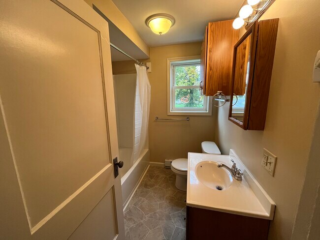 Bathroom - 217 W 3rd St