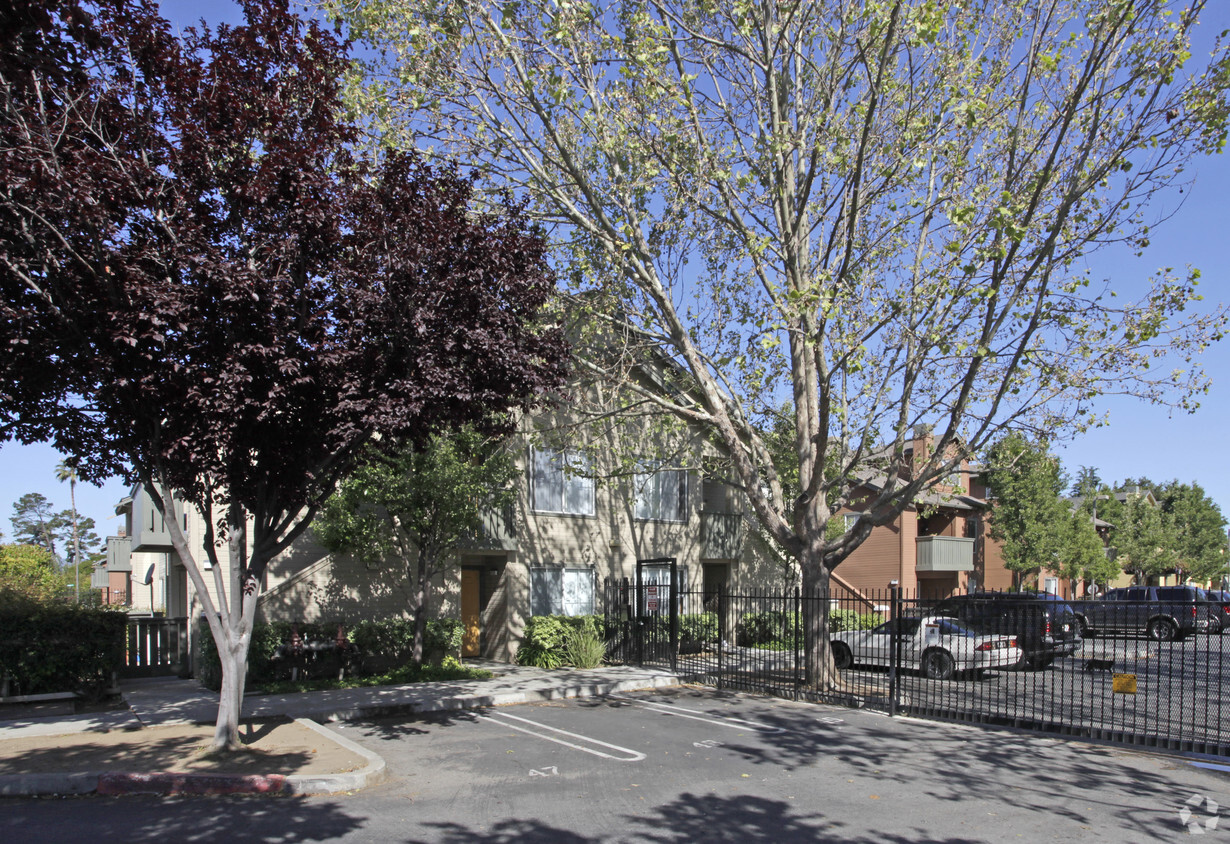 Building Photo - Bay Oak Apartments