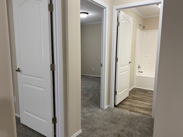 Building Photo - 1108 Peachtree Ct