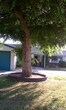 Primary Photo - 5019 Farago Ave