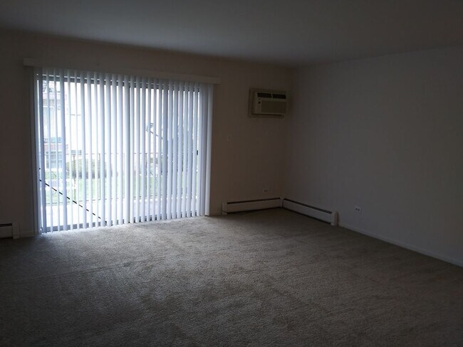 Building Photo - HUGE 1 Bedroom in Addison