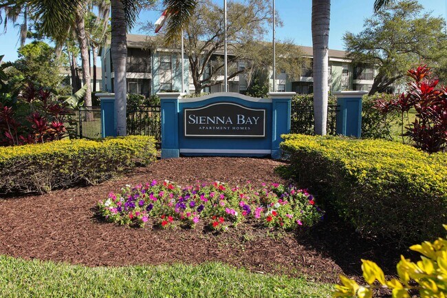 Sienna Bay Apartments St Petersburg Fl Apartments Com