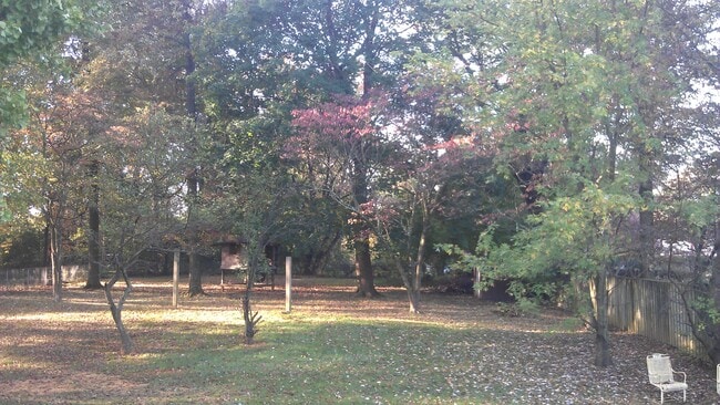 Large fenced yard - 702 Plum St SW