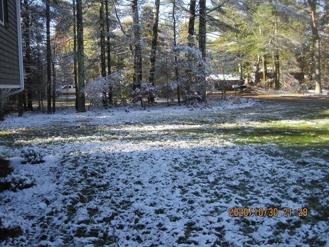 Foto del edificio - 9 Rickard St