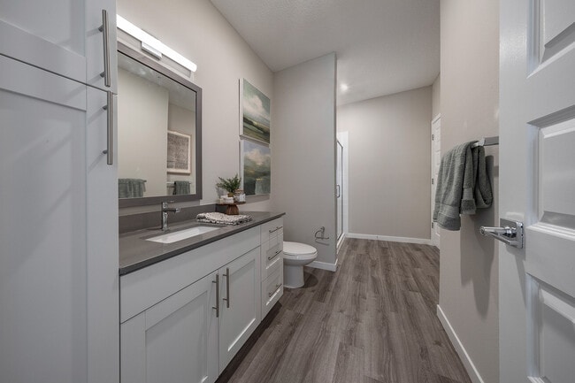 Spacious Bathroom with Ample Storage - 3030 at Apopka Apartments