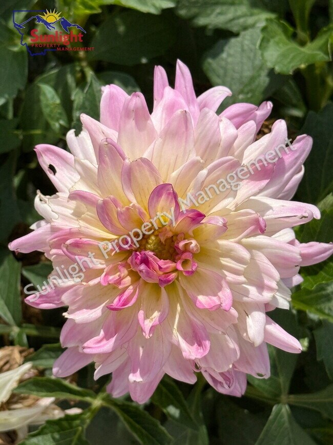 Foto del edificio - 15 Applewood Dr