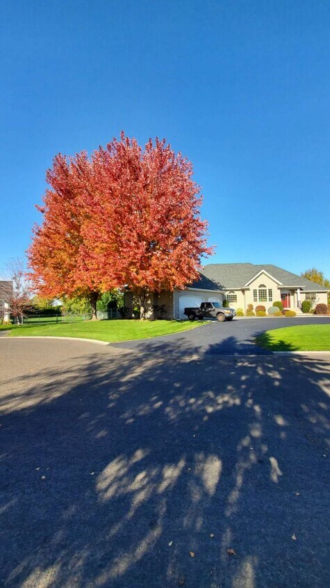 Primary Photo - Basement Apartment For Rent!!