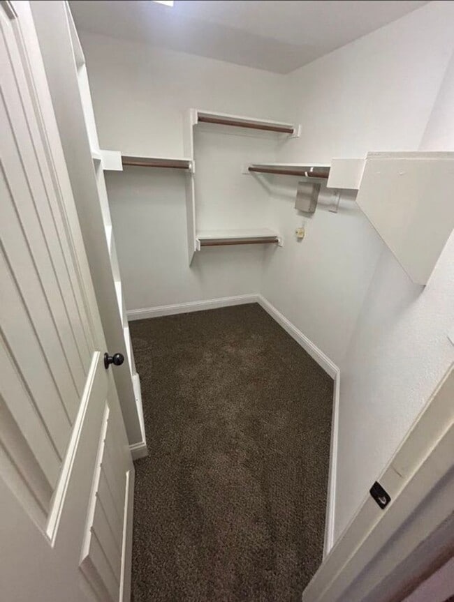 Building Photo - 1307 Halcyon Pl