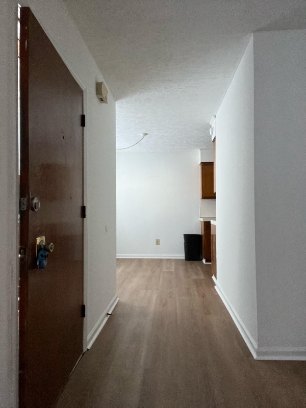 Building Photo - 1237 Shalom Dr