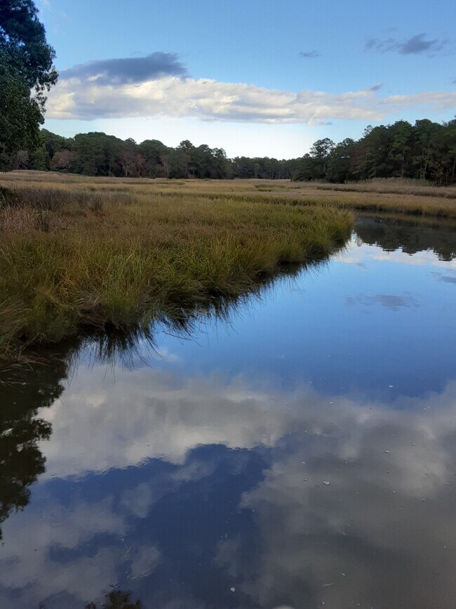 Building Photo - 6076 Harmantown Rd