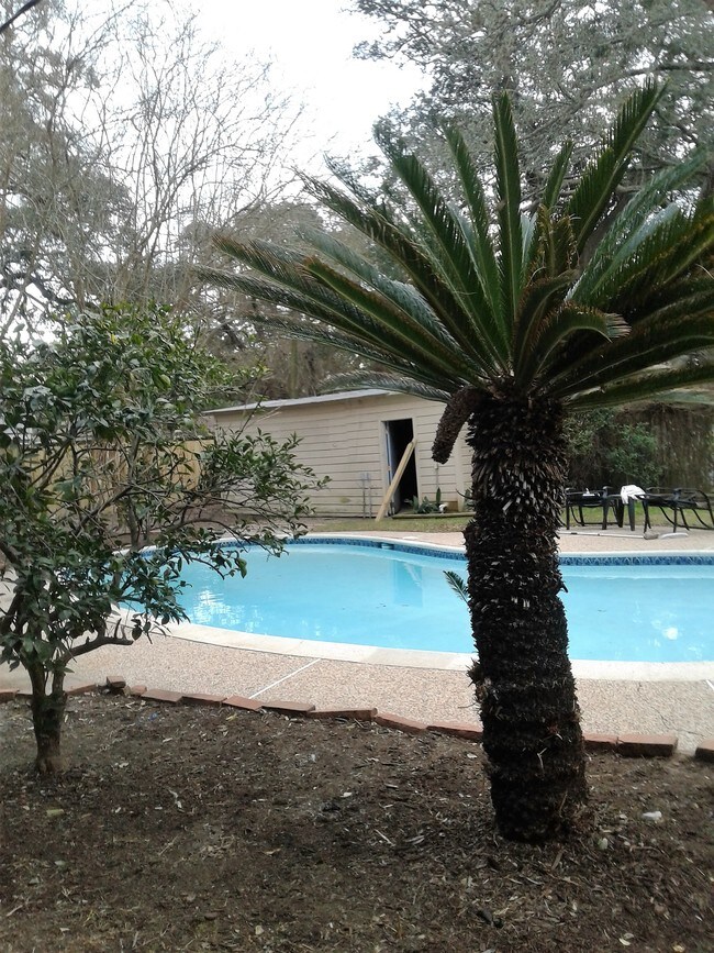 Foto del edificio - 211 Cypress St