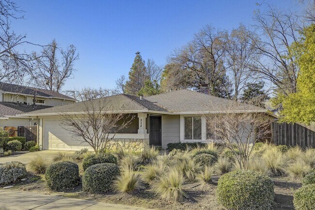 Building Photo - 312 N Alamo Dr