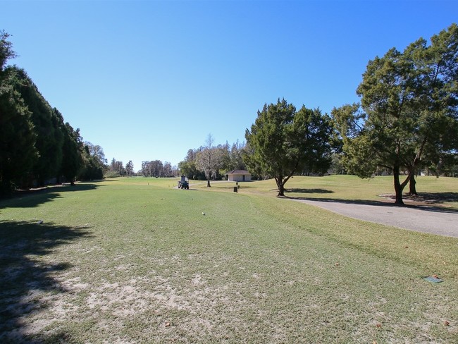 Foto del edificio - Carrollwood Cove at Emerald Green