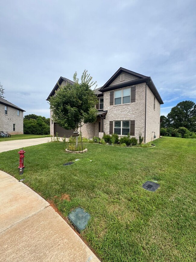 Building Photo - 203 Rye Cir
