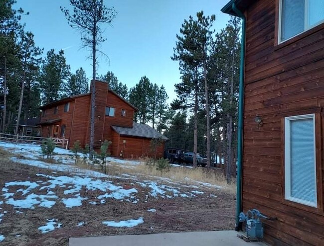 Back area - 420 Pembrook Ln
