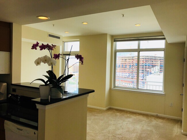 View from doorway - 930 Wayne Ave
