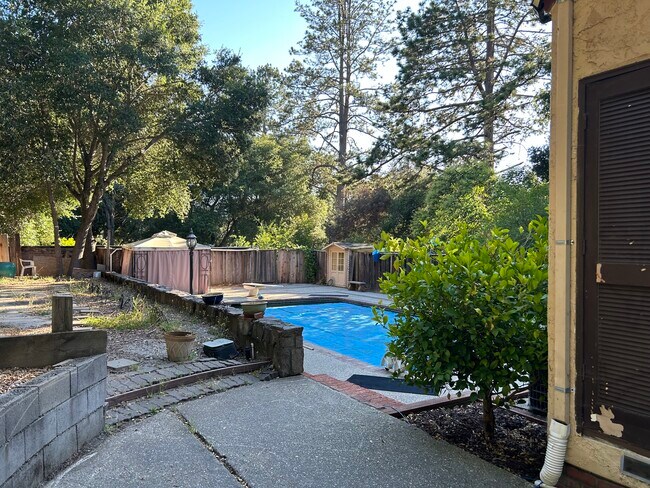 Pool - 160 Olympia Station Rd