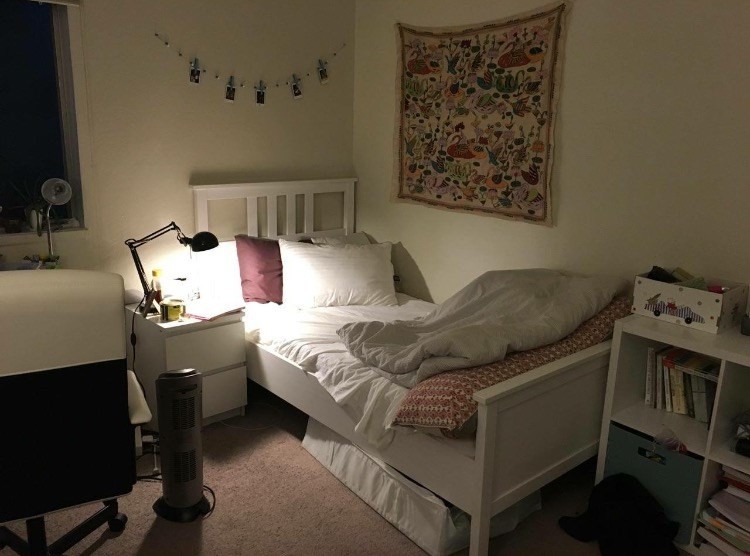 Foto principal - 2740 College Ave