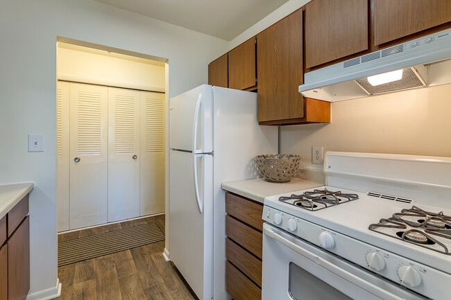Robin - Kitchen - Ramblewood Apartments