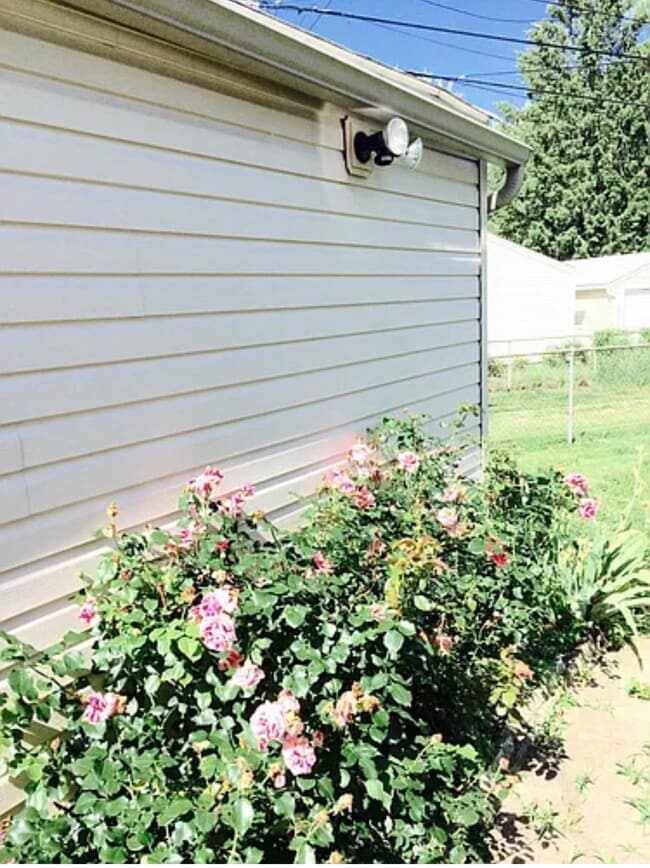 Building Photo - 2221 Parker St