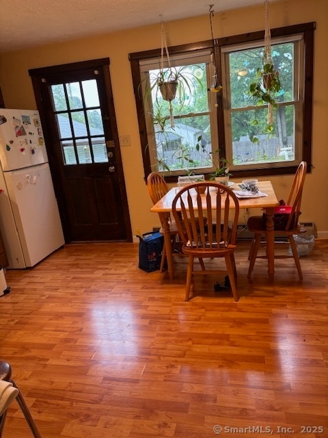 Foto principal - 185 Newell Ave
