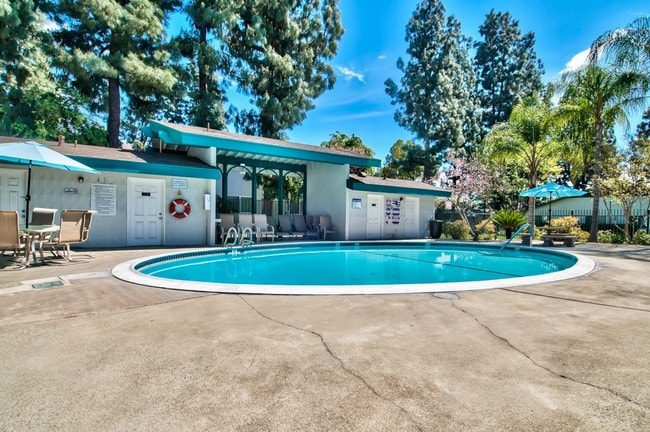 Sparkling Pool w/ Restroom & Shower Area - Pine Garden Apartments
