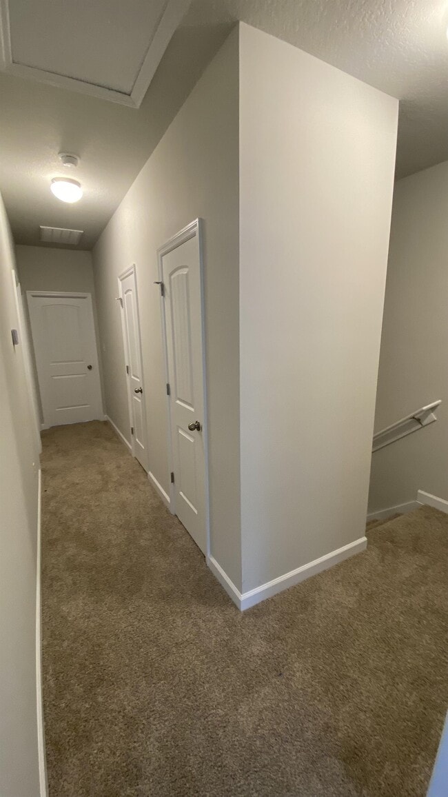 Foto del edificio - 304 Otis Cv Ln