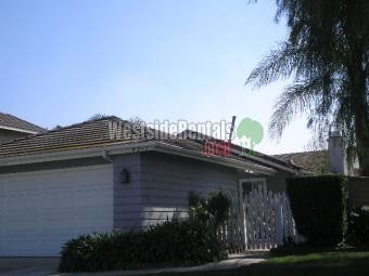 Primary Photo - 4233 Pepperwood Ln