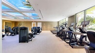 Located in Coral Gables, FL, the Fotness Center is a generously sized, single-floor fitness facility designed to deliver a premium workout experience. The exercise room is expansive and thoughtfully laid out, accommodating a wide variety of training needs across dedicated zones.

The space features a sophisticated interior aesthetic, with textured, patterned wall coverings in warm gold and green tones that lend an upscale ambiance throughout. Large floor-to-ceiling windows line one side of the facility, flooding the space with natural light and offering outdoor views of lush palm trees, creating an inviting and energizing atmosphere.

A standout architectural feature is the series of skylight panels adorned with vivid blue-sky and palm tree imagery, further enhancing the bright, open feel of the interior. Full-length mirrors along the walls amplify the sense of space and support proper form during workouts.

Equipment is comprehensive and well-organized: a dedicated cardio zone houses multiple treadmills and stair climbers positioned to face the exterior windows, while stationary bikes and additional cardio machines occupy their own area. Strength training is equally well-appointed, with an extensive rack of color-coded dumbbells, cable machines, multi-functional strength stations, and a variety of selectorized resistance machines. The flooring throughout is a neutral, cushioned carpet suited for fitness use. The overall environment is clean, polished, and professionally maintained.