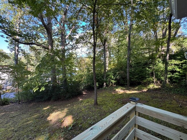Building Photo - Black Mountain - Newly Renovated 3 Bedroom