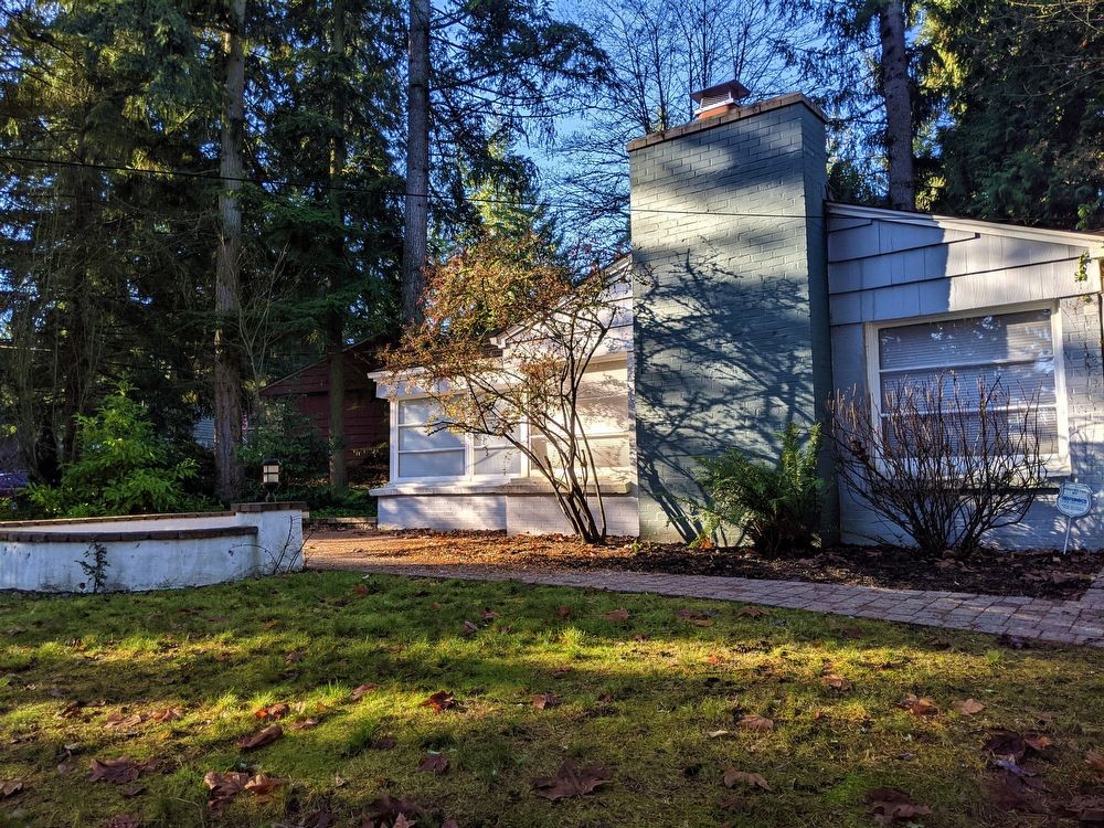 Primary Photo - Olympic Hills Charmer