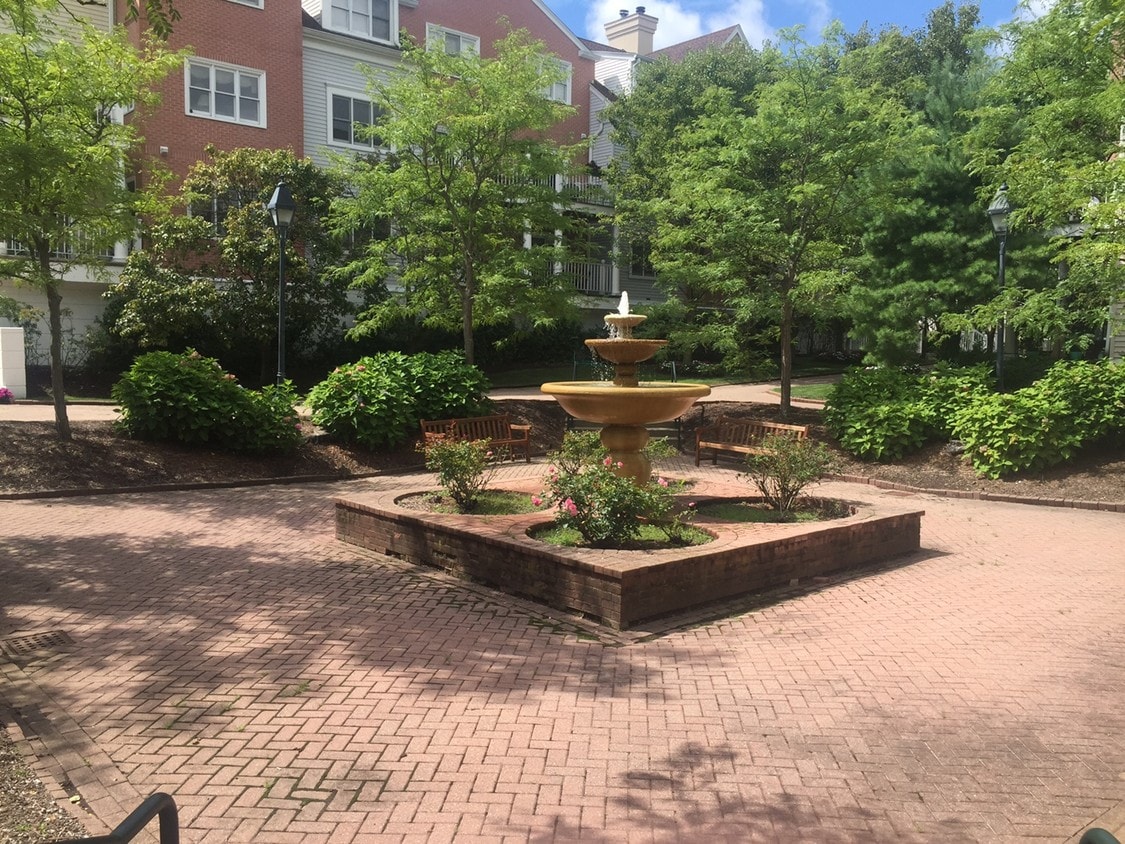 Courtyard - 51 Forest Ave