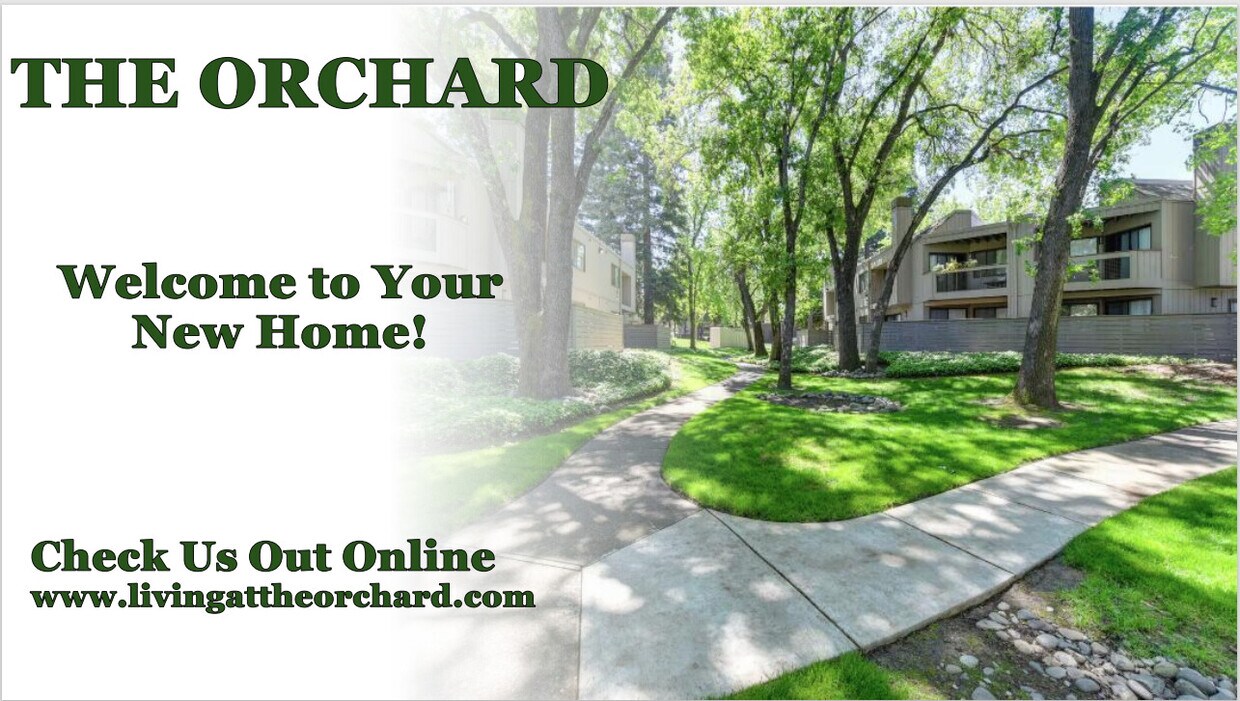 Foto principal - The Orchard Apartments