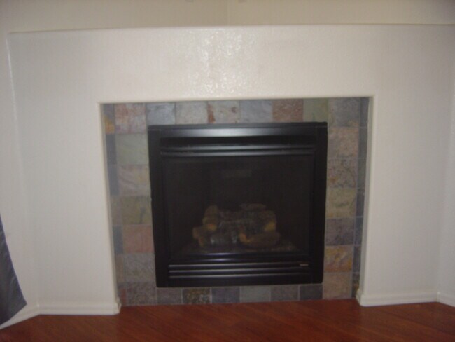 chimenea del salón - 4147 Outlook Blvd