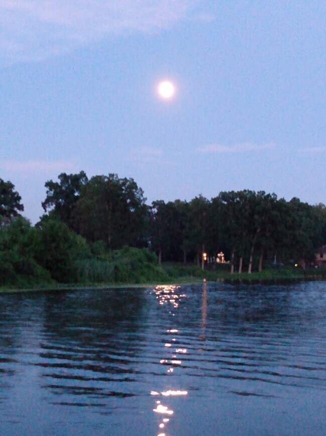 Building Photo - 4331 Ormond Dr