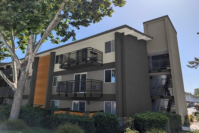 Building Photo - The Montclaire